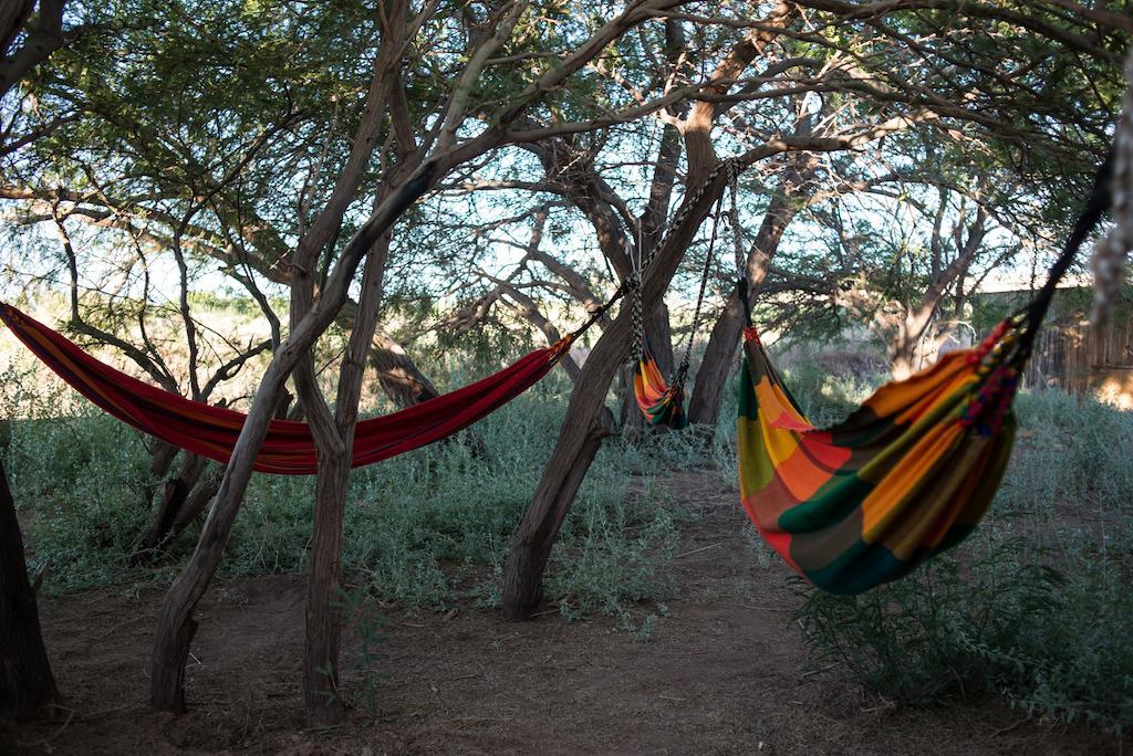 Planeta Atacama Lodge San Pedro de Atacama Ngoại thất bức ảnh