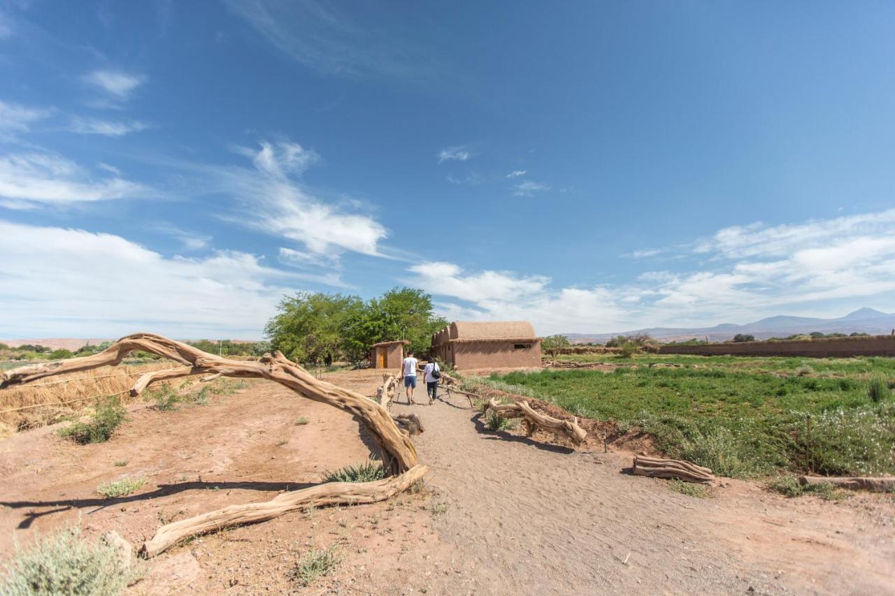 Planeta Atacama Lodge San Pedro de Atacama Ngoại thất bức ảnh